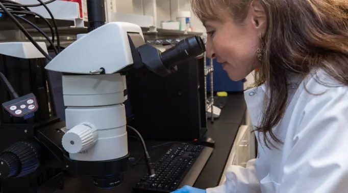 Careers transformation image showing a lab worker looking into a microscope.